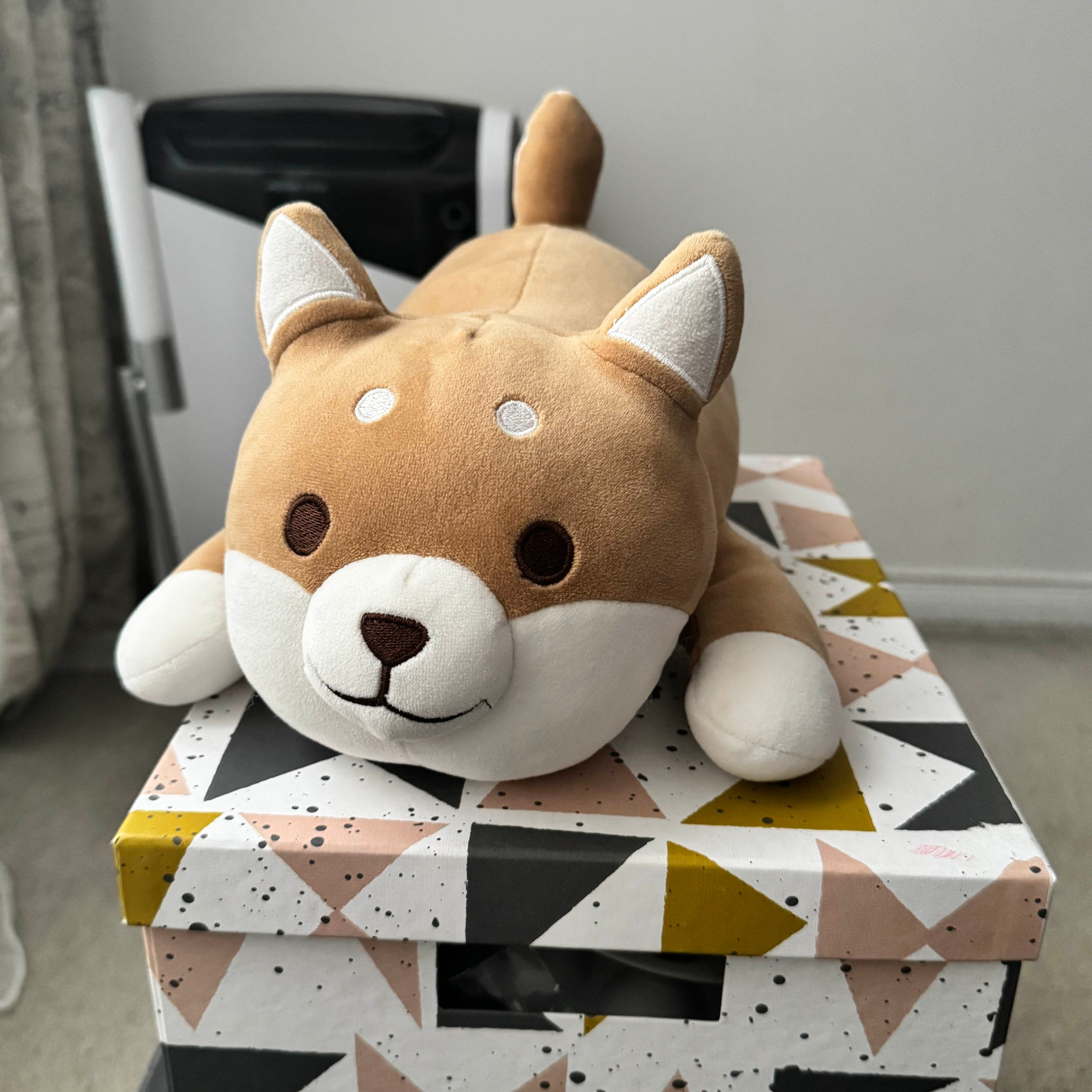 My corgi plush! He matches with my boyfriend's husky plush, hehe.