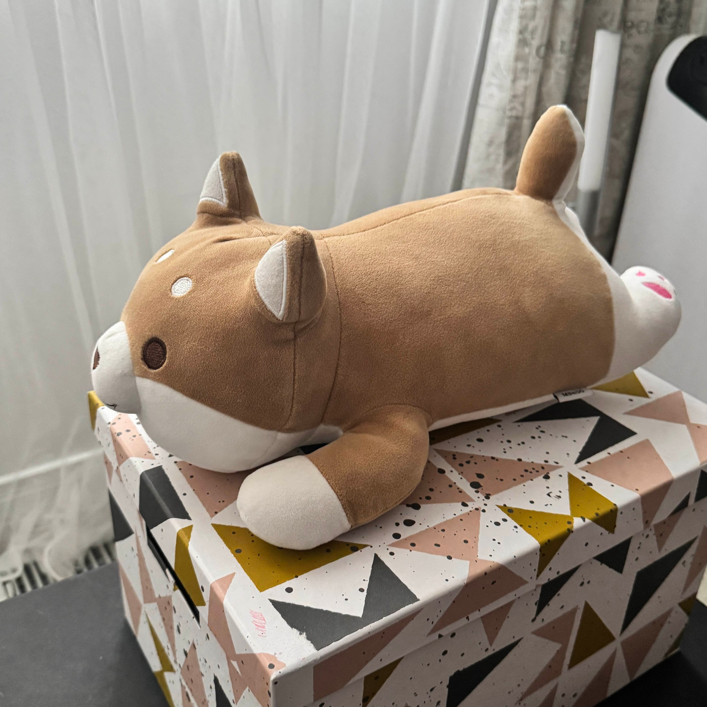 Side angle for reference.